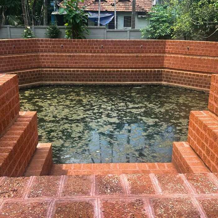 Natural pond
