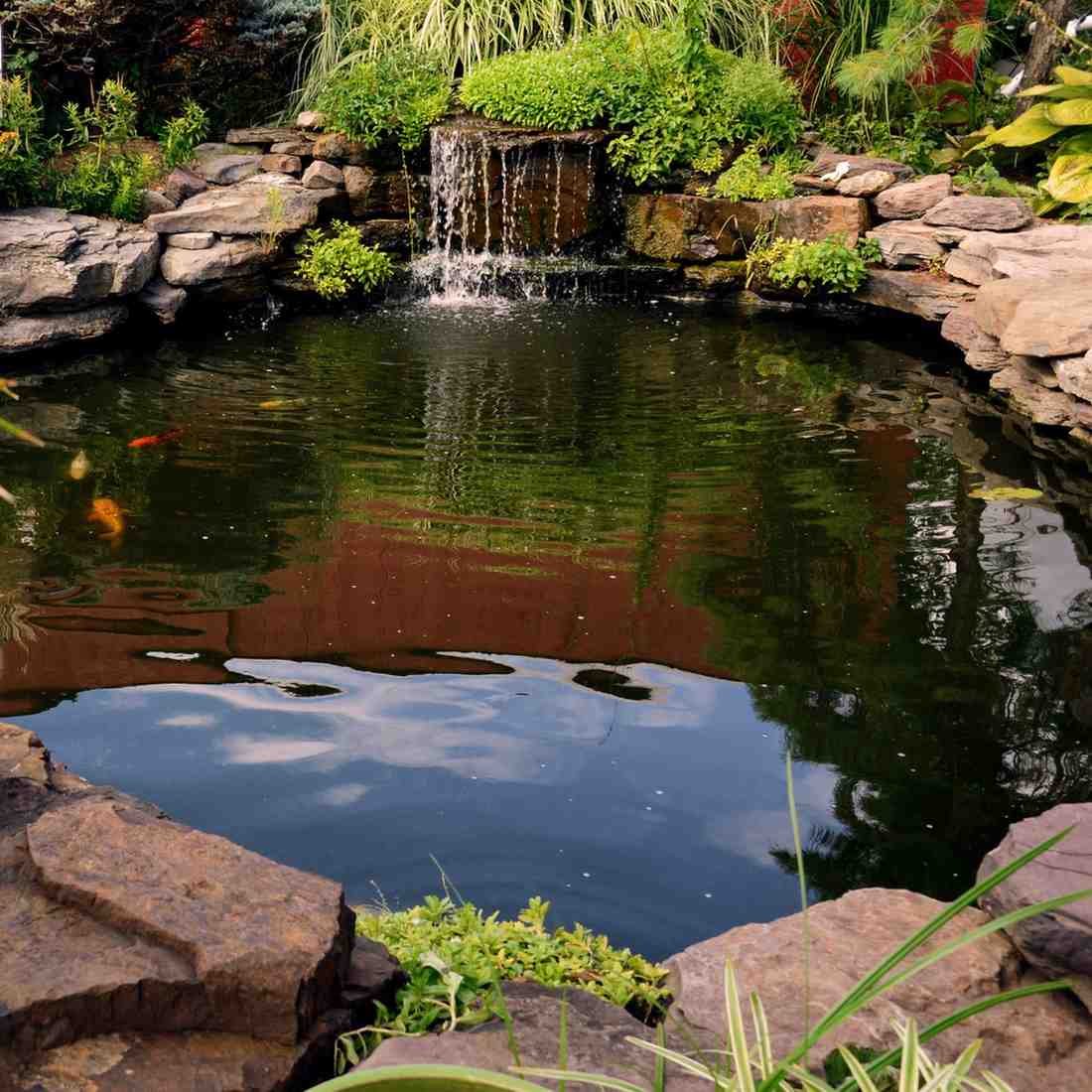 natural pond