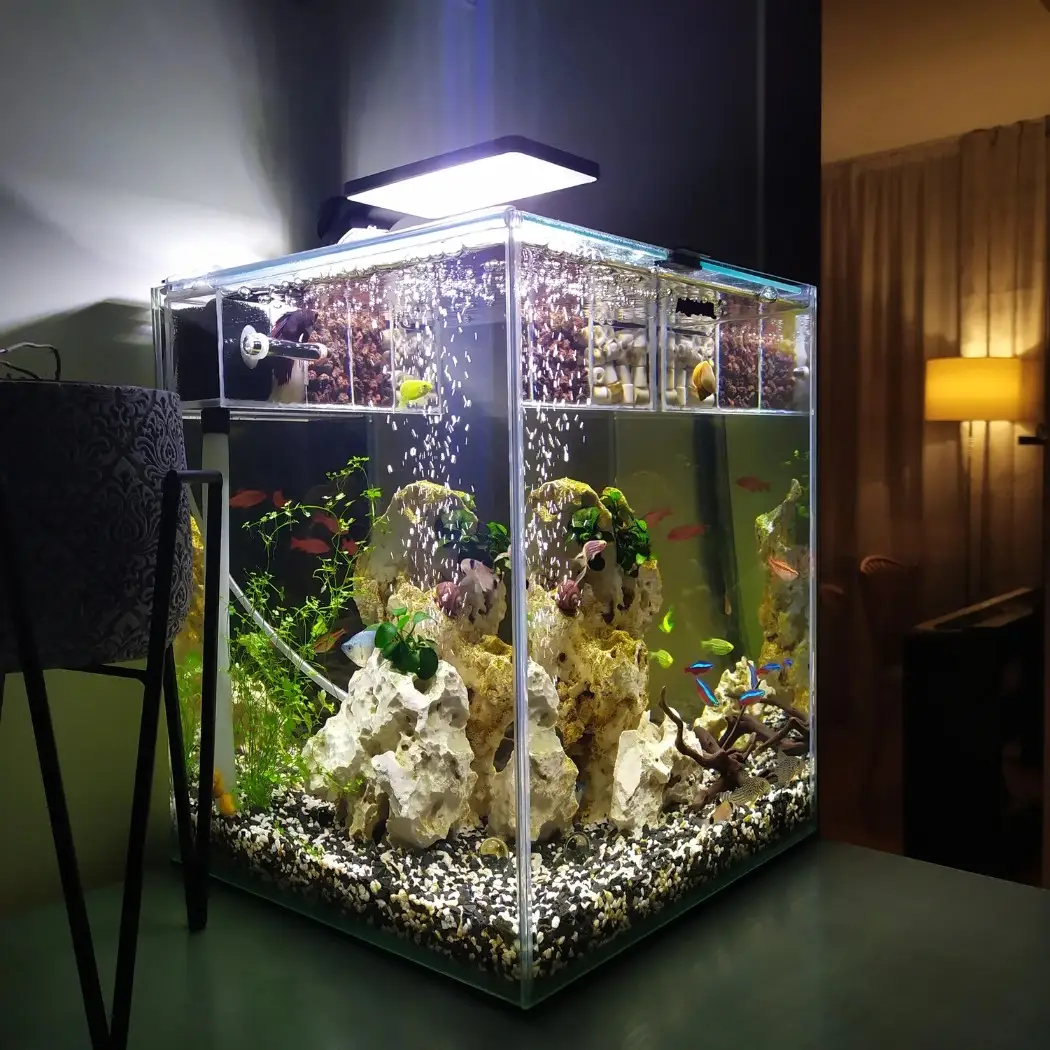 aquarium1